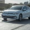 MEGA GALLERY: Volkswagen Golf Mk8 gets detailed