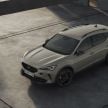Cupra Formentor VZ5 – 390 PS/480 Nm, 7,000 units