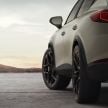 Cupra Formentor VZ5 – 390 PS/480 Nm, 7,000 units