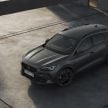 Cupra Formentor VZ5 – 390 PS/480 Nm, 7,000 units