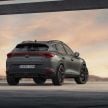 Cupra Formentor VZ5 – 390 PS/480 Nm, 7,000 units