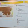 JPJ demos vehicle type approval process with a BMW iX – tests before a car is allowed to be sold in Malaysia