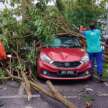 Rainy season means lots of falling trees – avoid parking under trees and get Special Perils insurance