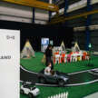 Back to school with Volvo Safety Driving Experience