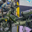 2024 Aveta Ranger Cub Cross in Malaysia, RM4.9k