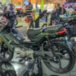2024 Aveta Ranger Cub Cross in Malaysia, RM4.9k