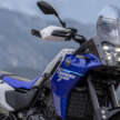 2025 Yamaha Tenere 700 updated – new bodywork, now with low seat height and Rally versions