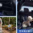 BYD e7 launched in China – budget-friendly EV sedan aimed at taxi services, up to 520 km CLTC, from RM62k