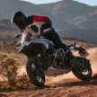 BMW Motorrad reveals 2026 motorcycle colour options