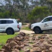 Exploring GWM’s Hi4 hybrid all-wheel drive – Tank 500 Hi4-T and Haval H6 PHEV AWD sampled in Australia