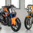 BMW Motorrad shows R 1300 R Superhooligan