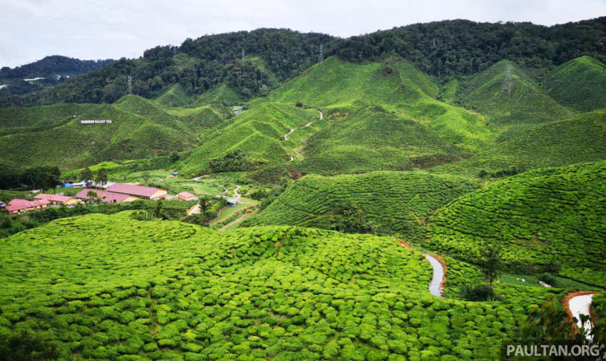 Cameron Highlands epic jams no more? Brinchang road widening, Kea Farm one-way system by Feb 2028 2047604