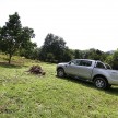 TESTED: Ford Ranger XLT 2.2 Manual driven in all jungles – the concrete one and the green-muddy one