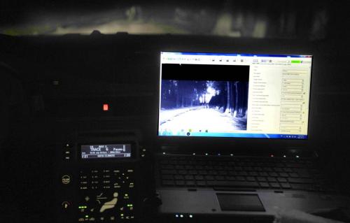 volvo animal 2 Oh deer, watch out! – Volvo developing system to avoid collision with wild animals