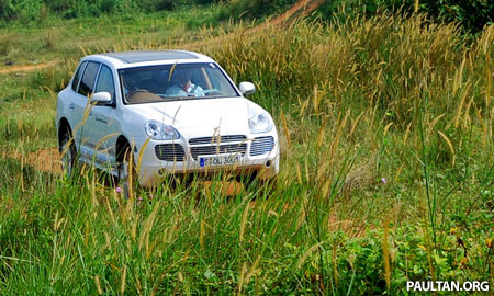 Crouching Tiger Hidden Cayenne
